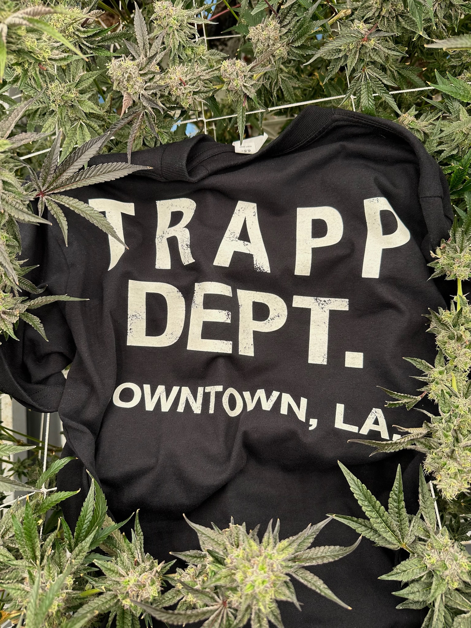 TrappDept lifestyle
