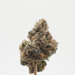 Pink Berry Slush (106)