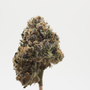 Black Cherry Runtz (109)