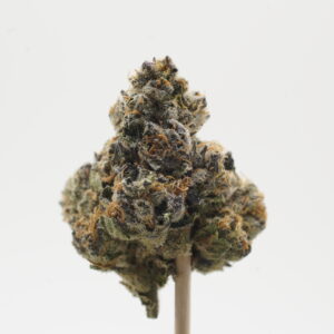 BlackBerry Caviar (117)